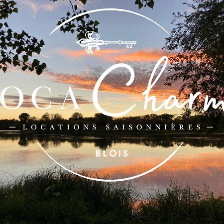 בלואה "Gite Le Relais Viennois" Vue Sur Loire & Linge Inclus מראה חיצוני תמונה