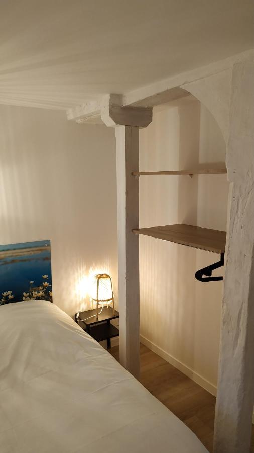 בלואה "Gite Le Relais Viennois" Vue Sur Loire & Linge Inclus מראה חיצוני תמונה