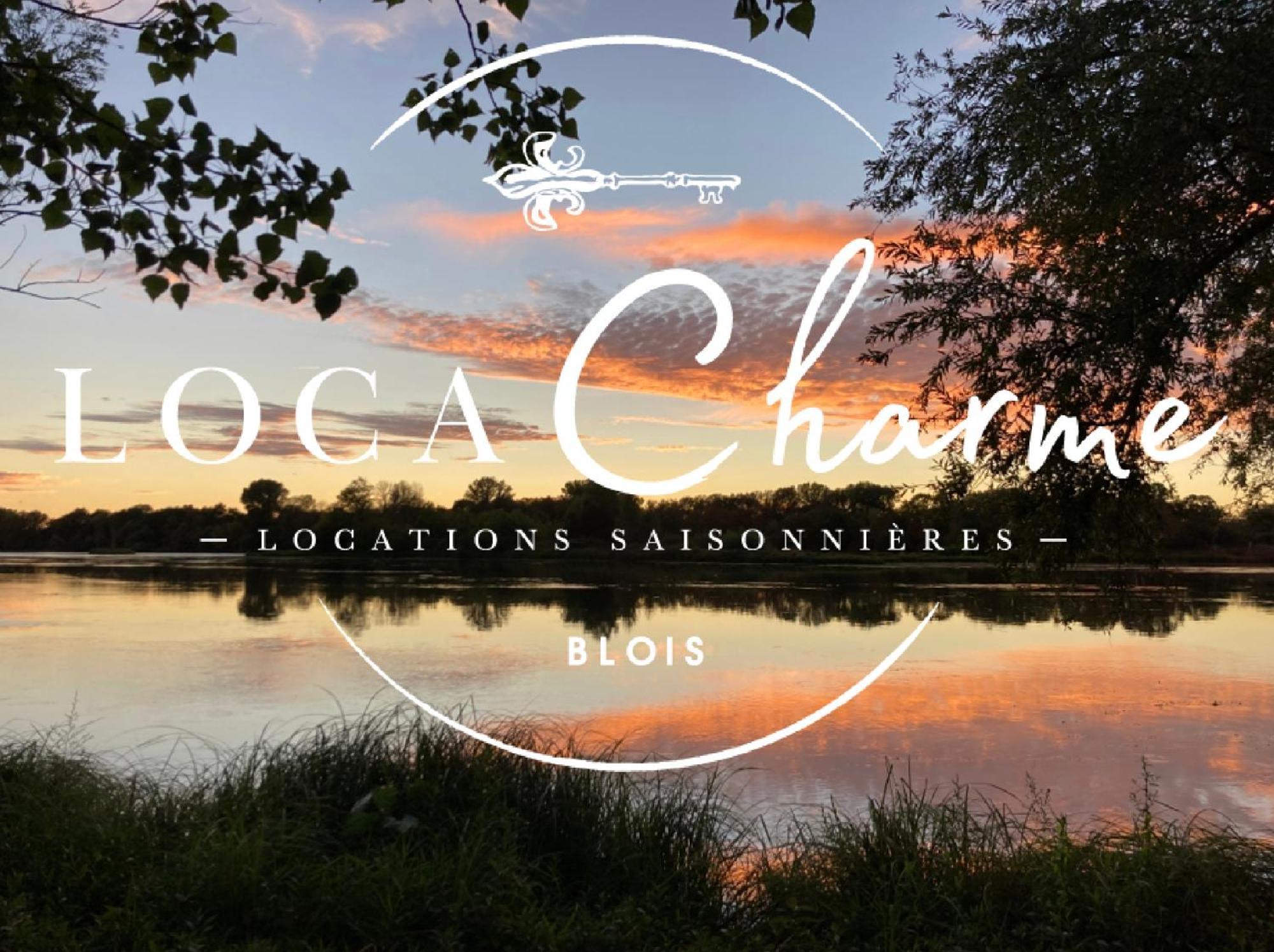 בלואה "Gite Le Relais Viennois" Vue Sur Loire & Linge Inclus מראה חיצוני תמונה